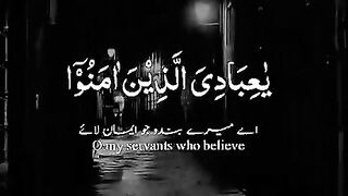 Quran majeed ki telawat