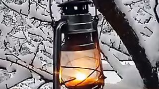Snow fall #kashmir view #kashmir valley #beauty of Kashmir