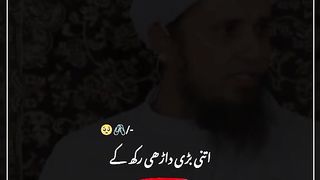 What is molvi