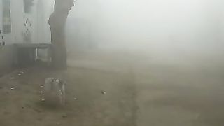 Teri Galiyan Teri Galiyan