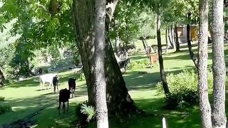 Manoor Valley of Kaghan - Unexplore Valley