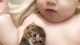 Best companion is Cat ????