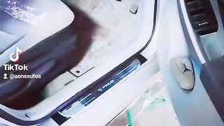 Toyota Prius LED Door Sill Plates