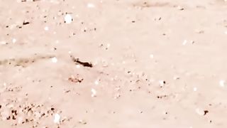 Nicer video