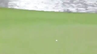 Best Sports and Lucky