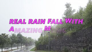 Real Rain Fall|Rain Fall with nice music