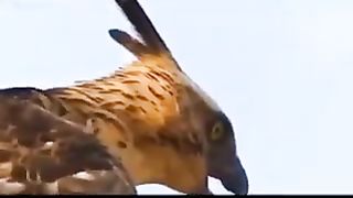 Mother protect her children