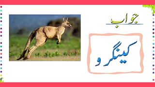 Educational knowledge