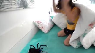 Sami_he_found_spiders_athome_