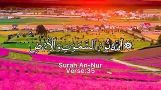 Surah An-Nur Ayat 35 _ tilawat