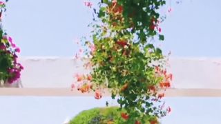 Beautifull place