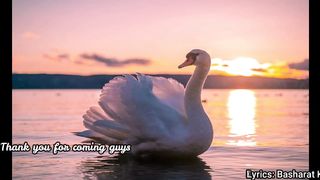 غزل: جب سے تیری طرف یہ نظر ہوگئی