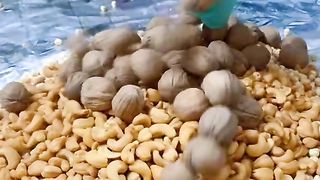 Dry fruits