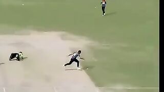 Best Cricket video Best Wicket keeper