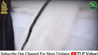 Allama Saad Hussain Rizvi New TLP Whatsapp Status 2022 TLP Status#saadrizvi #tlp #flood #pakistan