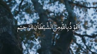 Surah Al Mulk/heart touching voice