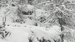 Kashmir jannat nazir