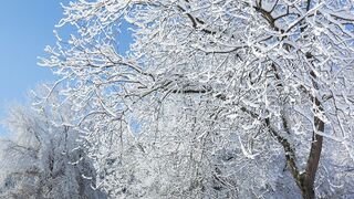 heavy snowfall in kashmir