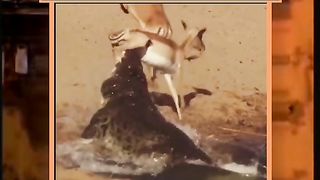 Ture this video