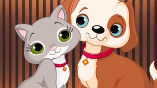 Funny cats videos|Best funny cats videos 2023
