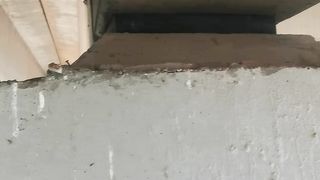 Inspection of bearing pads and rubber of bridge