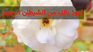 Qari abdur rehman mosaad | sorah e al ankaboot vers no 56 | Quran recitation