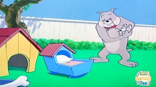 Tom & Jerry Cartoon in Urdu/Hindi