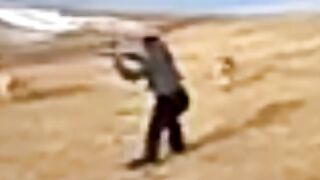 #wolf #wolfatack video