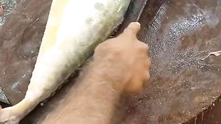Very beautiful ???? ???? fish #fishvideo