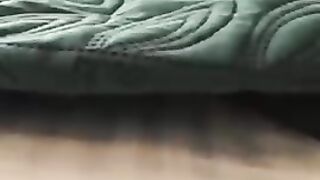 Funny _&_cute_cats_compilation_(tiktok)short video