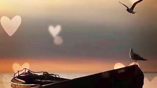 Dil❤????kahta ha chal un sa mil beautiful song