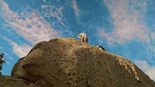 Man and Woman Practicing Yoga on Top of a Giant Rock