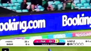Cricket fans