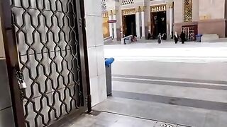 Best video