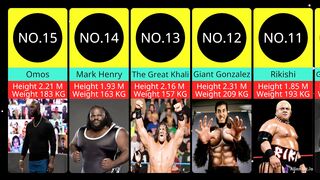 top 15 richest wwe wrestlers of all time