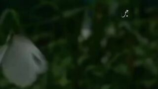 Best video