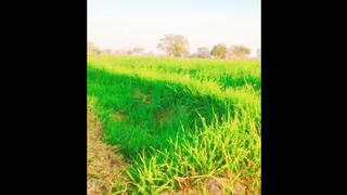 Beautiful village Pakistan
