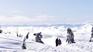 People walking on the snowy summit