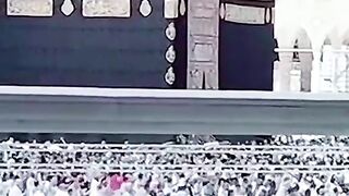 Best video