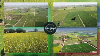DJI Mini 2 Done Shot Sindh- Badin
