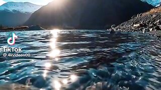 Beautiful video under water fish