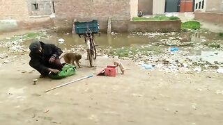 Funny Video