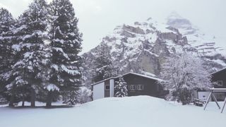 Houses in a forest during winter