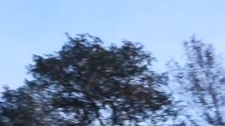 Surah ash_shraa Ayat 45_46