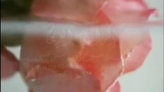 Islamic video