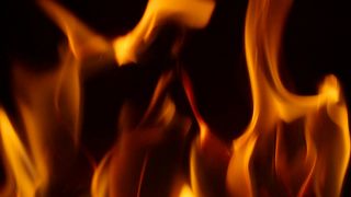 Life on fire