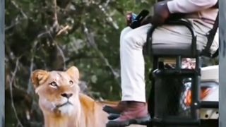 AWW NEW FUNNY  VIDEOS MIKE FUNNY ????  Good | One Part2