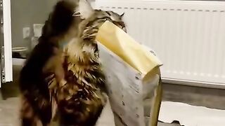 Все сам, все сам…..