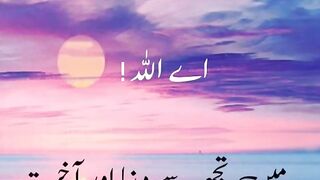 Prayss of Allah