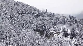 Snowfall/Nature over/Nature Beauty